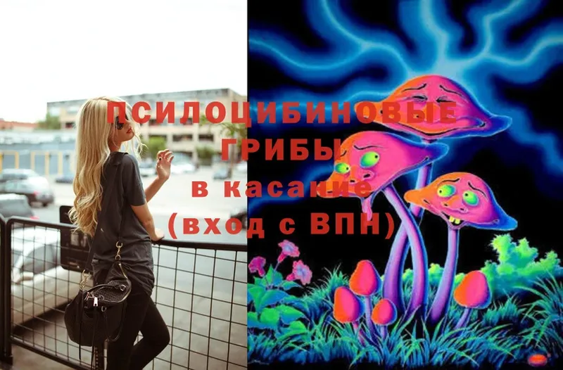 мега ТОР  Куртамыш  Псилоцибиновые грибы Magic Shrooms  маркетплейс формула  купить наркотики цена 